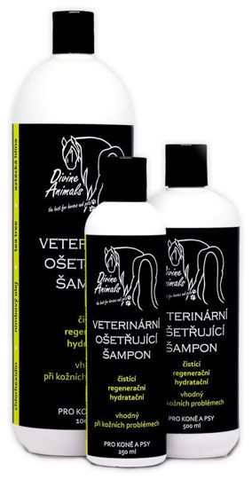 Obrázek Veterinární ošetřující šampón, Divine Animals