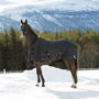 Picture of Horze Nevada Mid-season Stable 100g