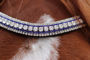 Picture of Browband Crystal & Blue